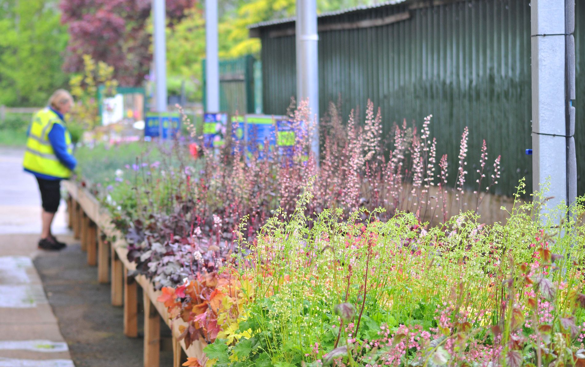 Hillier Garden Centres and Nurseries