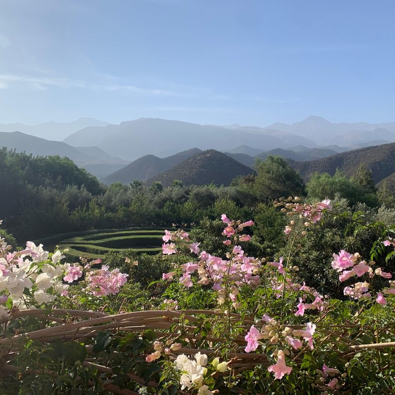 Morocco floral landscape UGC