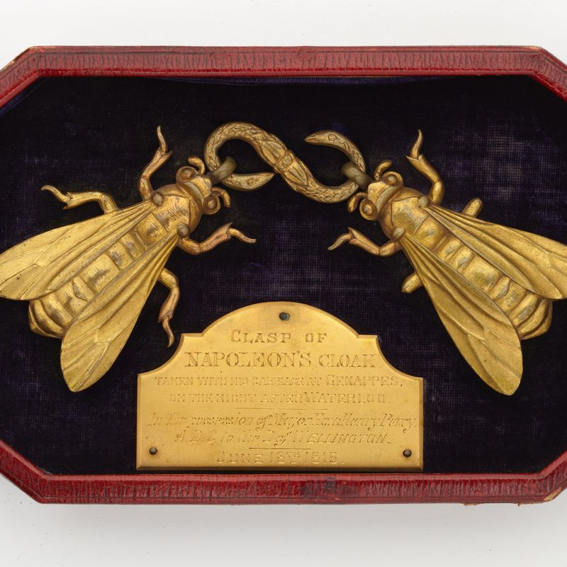 The clasp of bees taken from Napoleon's cloak after the Battle of Waterloo.