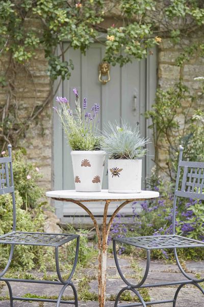 BEEKIND pots Woodlodge.jpg