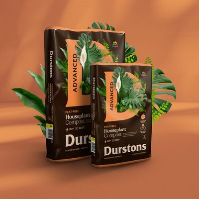 Durstons_Houseplant_Advanced_STANDING.jpg