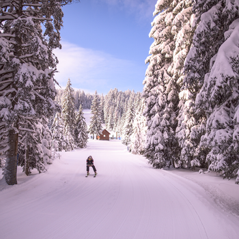 Pohorje Rogla