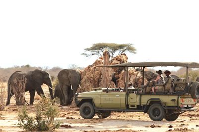 P_Asilia Lodges & Camps_Tanzania_Ruaha National Park 01_Jabali Ridge_Activities_Game Drive_2.jpg