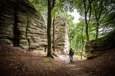 Mullerthal Trail