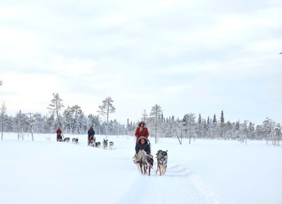Reclaim Yourself Retreats in Finland husky fun.jpg