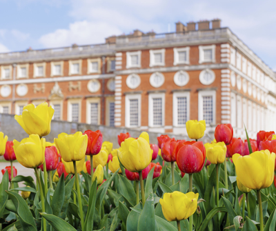 Tulip Festival Hampton Court Palace (c) Historic Royal Palaces.