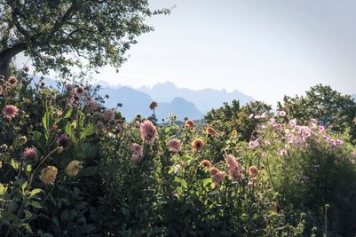 Rosengarten und Blumengarten©Frieder Blickle.jpg