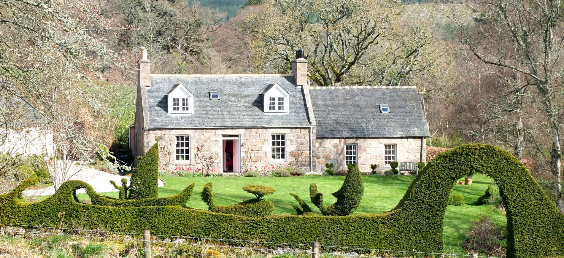 David Hawson - Winner of the Home Gardener category