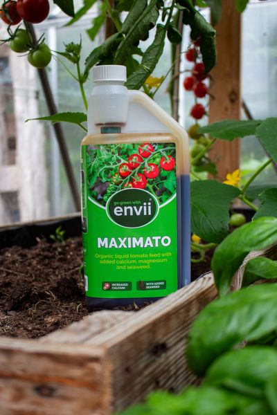 Envii Maximato