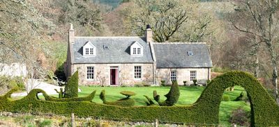 David Hawson - Winner of the Home Gardener category