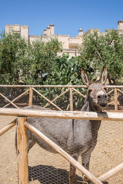 BorgoEgnazia_Ph.Giorgio Baroni(2).jpg