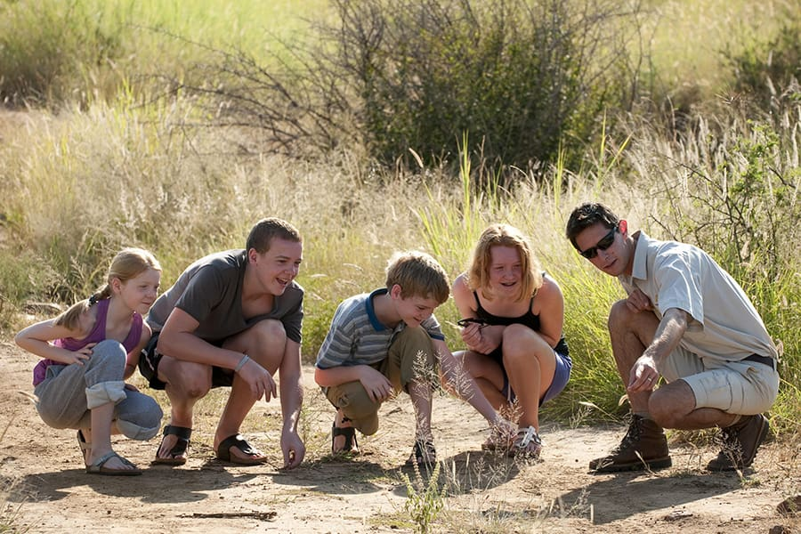 Family Safari.png