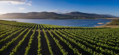 Benguela Cove Lagoon Estate x.jpg