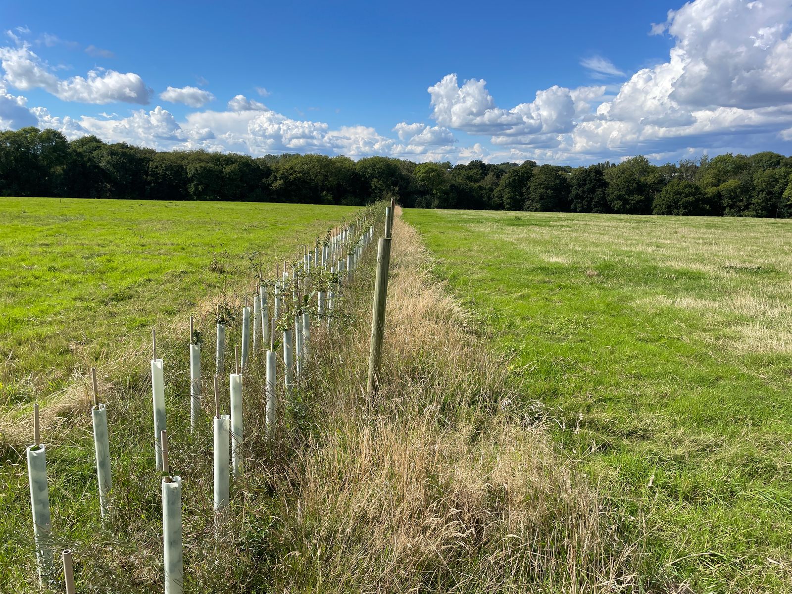 Woodlands.co.uk                                                                                                      