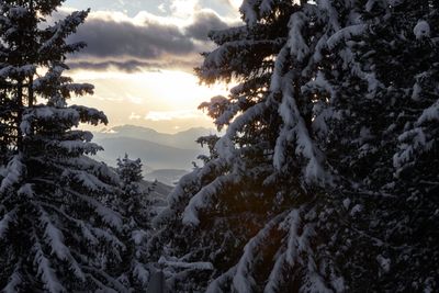 OdlesLodge-Nature-Winter-©Odles Lodge_Konstantin Volkmar (1).jpg