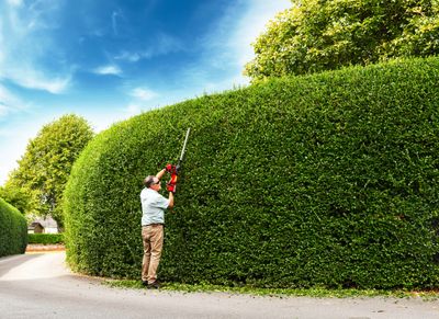 HT50LRH24V 2-in-1 Hedgetrimmer