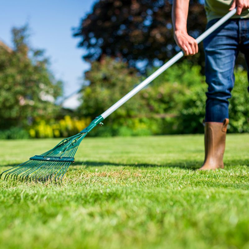 Lawncare lifestyle image by SBM Life Science