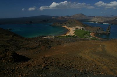 Galapagos - Locations, Flora & Fauna (19).JPG