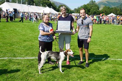 Grasmere Lakeland Sports and Show Competition Awards