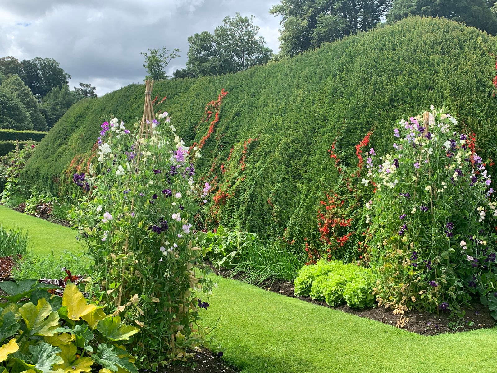 Part of the gardens at Levens Hall and Gardens, Cumbria