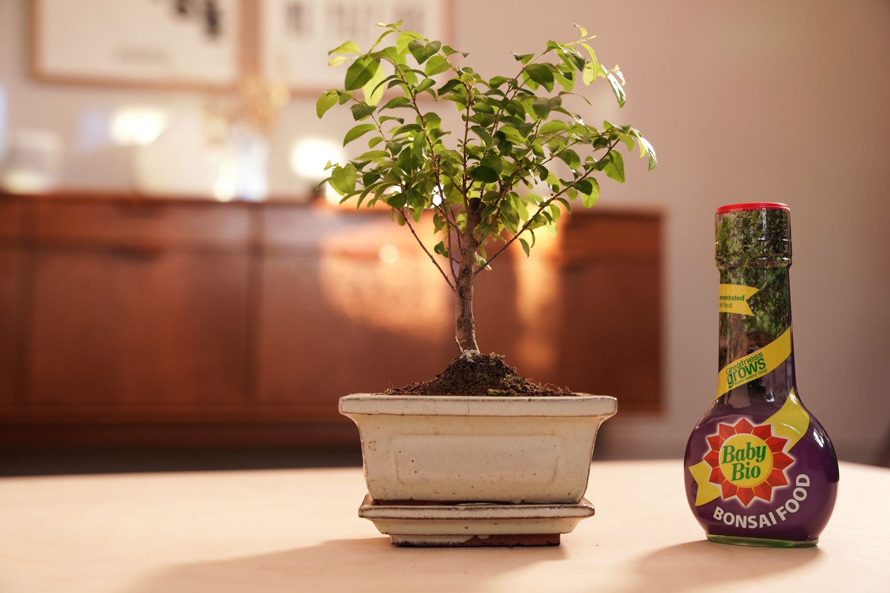 Baby Bio® Bonsai Food