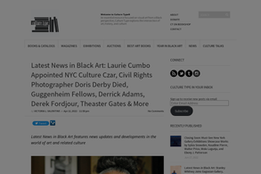 Screencapture of Culture Type