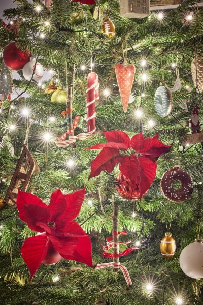 2023_poinsettia_03000_Rustic_Scandi_Christmas_05.jpg