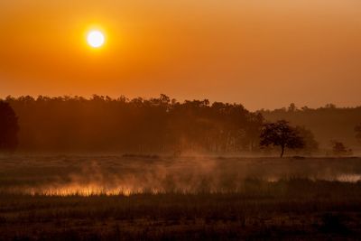 KanhaNationalParkSinginawa Wild Central India.jpg