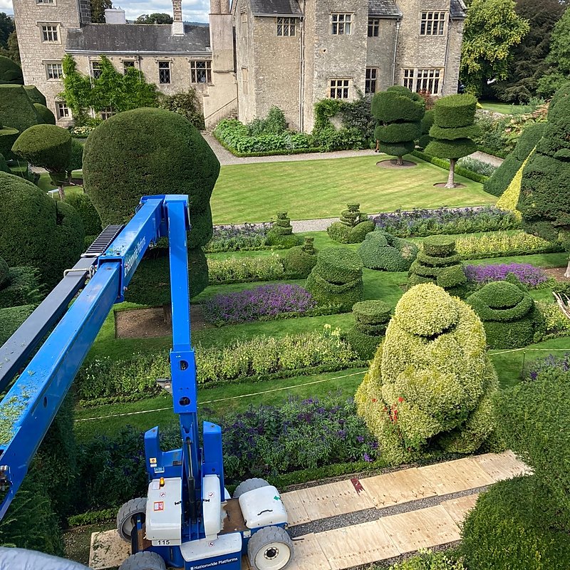 Equipment for the annual task of trimming the world's oldest topiary garden