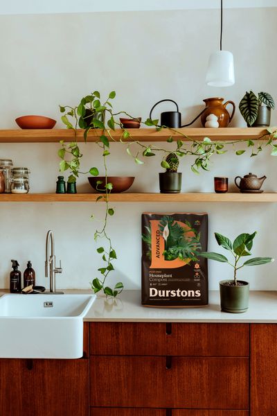 Houseplant_POS_Lifestyle-Image_3.jpg