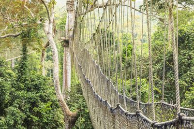 CanopyWalkwaysKakumNationalParkdreamstimem99681375_(1)_Ghana[1].jpg