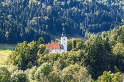 181734-F014746-10_ljubljana_in_osrednja_slovenija_cerkev_sv_ane_na_ledinici_1-photo-m.jpg