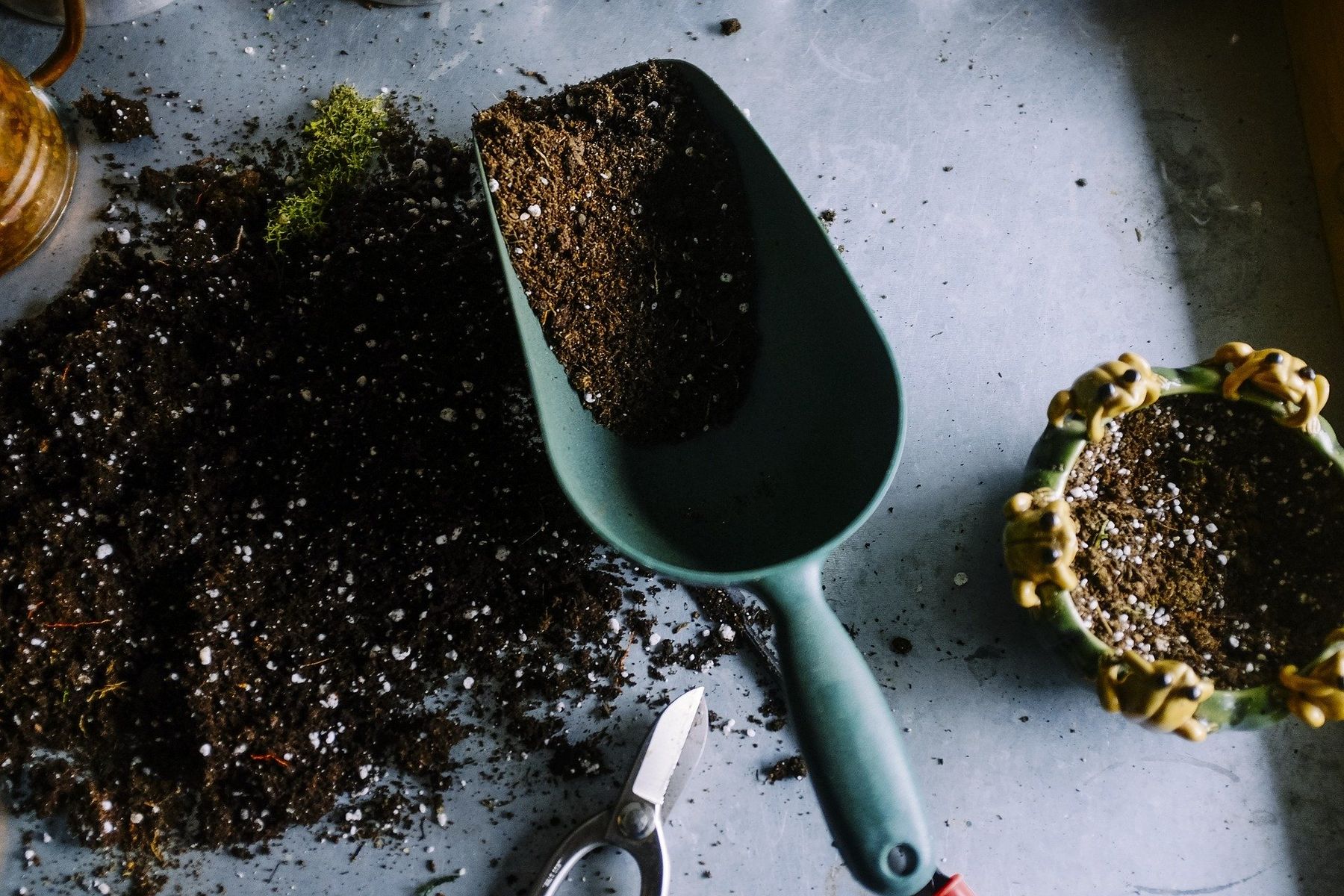 Gardening 1.jpg