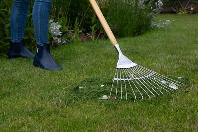 Stainless Steel Lawn Rake