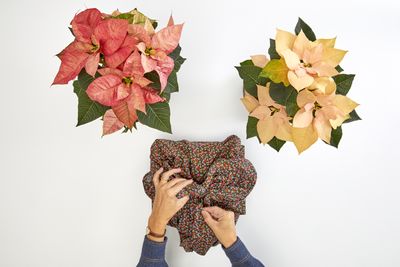 2022_poinsettia_05130_DIY_Reusable_Japanese_Gift_Wrap_04.jpg