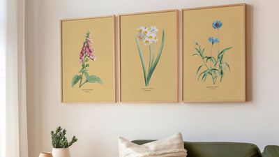 Suggested 2000px Set of three yellow prints.jpg