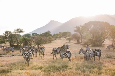 Kin Travel Kenya_Valorie Darling Photography_ID3A1391-1.jpg