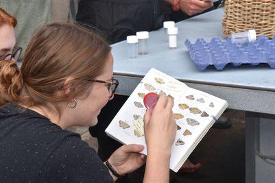 Young Darwins learning how to identify butterflies and moths.JPG
