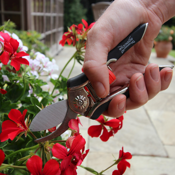 Precision pruners.jpg