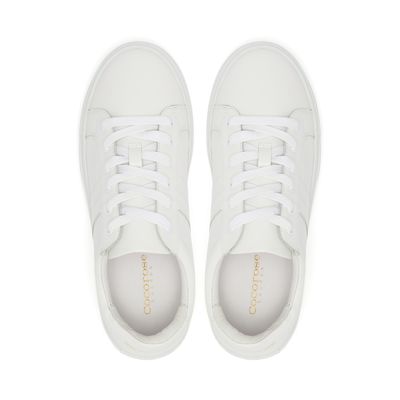 Hoxton Stripes White Trainer from Cocorose London