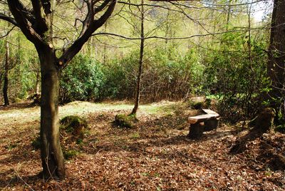 Woodlands.co.uk                                                                                                      