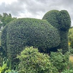 Angela Hawkins - Second Place in UK Home Gardener Category