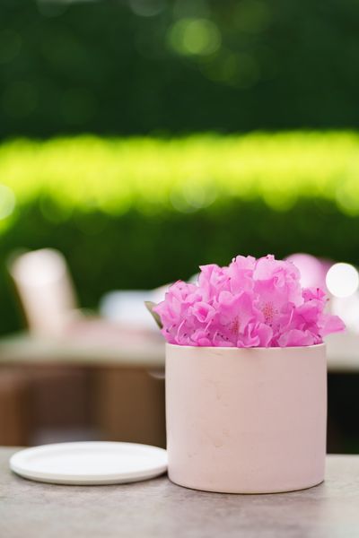 Jardin d´Anais3.jpg