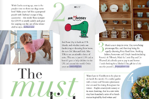Screencapture of Wealden Times