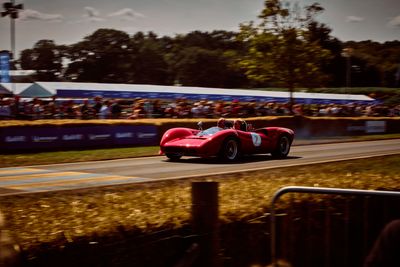 CarFest_Cars at CarFest.jpg