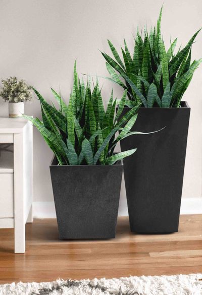 Sonata slate indoor plants.jpg