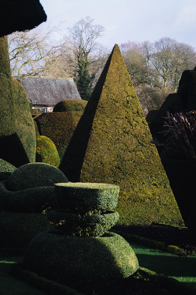 Topiary at Levens Hall, Cumbria, UK