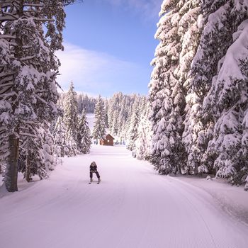 Pohorje Rogla