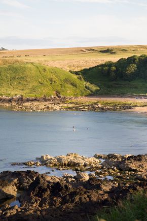 Coldingham Bay_Coastal (2).jpg