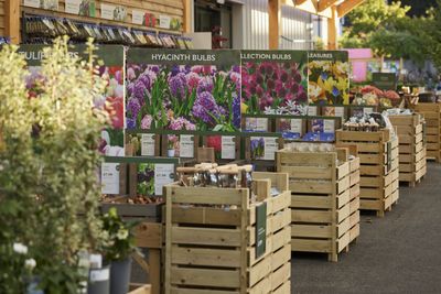 Hillier Garden Centre in Newbury